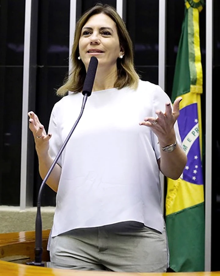 Registro profissional em ambiente político